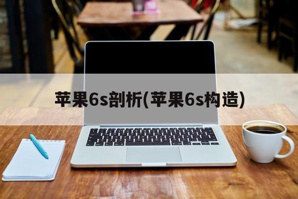 苹果6s剖析(苹果6s构造)