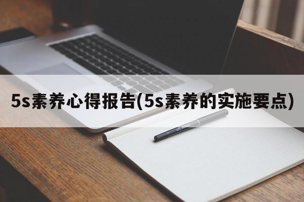 5s素养心得报告(5s素养的实施要点)